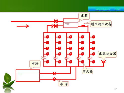 共青团基础知识库,小学基础知识库,基础药学知识库