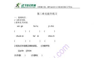 六级下册s版基础知识