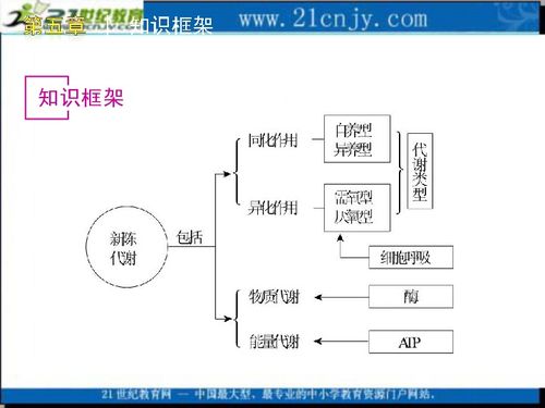 微生物基础知识笔记,微生物基础知识试题,微生物检验基础知识