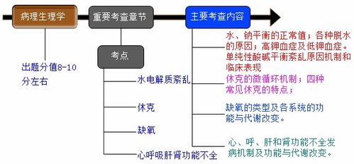 基础知识学科