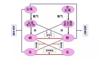 注重基础知识的积累,注重基础知识的教学,如何注重学生对基础知识的理解和掌握