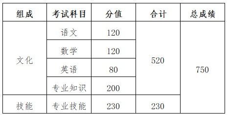 英语春季高考基础知识点