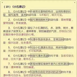 语文基础知识不扎实要怎么做