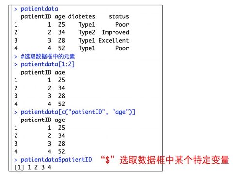 草书基础知识pdf网盘