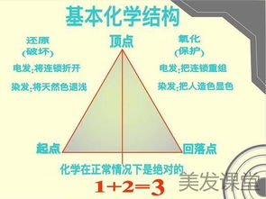 染发化学原理基础知识