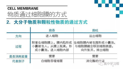 高中生物基础知识梳理,高中生物基础知识填空,高中生物基础知识重点归纳