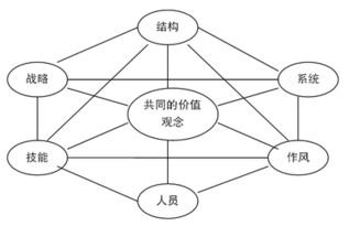 市场营销的基础理论知识