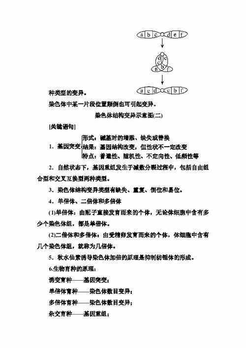 关于基础知识的重要性的语句,学好基础知识的重要性,基础知识扎实的重要性