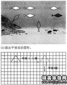 小学教育基础知识高频简答题