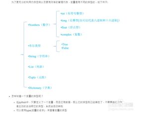 paython入门基础知识