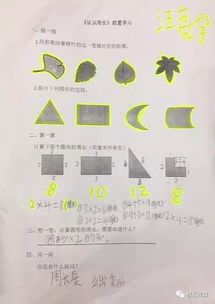 培养学生基础知识和基本技能