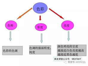 染发基础知识理论