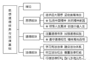 政治的基础知识点总结