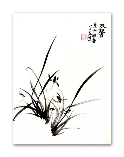 中国画,兰花,基础知识