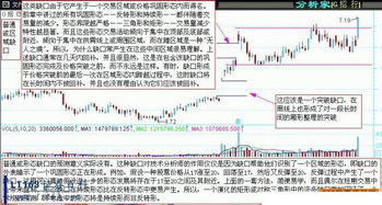 k线图基础知识图书