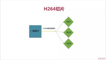 音频基础知识培训