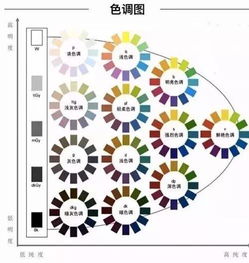 美发色彩学基础知识,色彩学基础知识理论,化妆色彩学基础知识