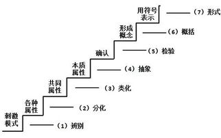 数学中的基础知识概念