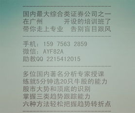 股票基础知识书籍txt