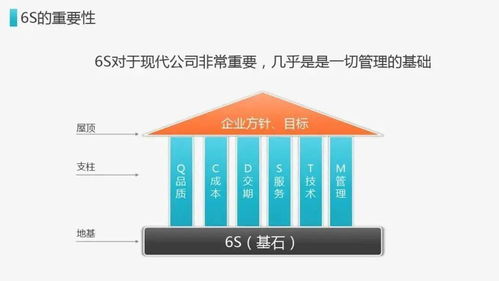 新民化纤6s基础知识