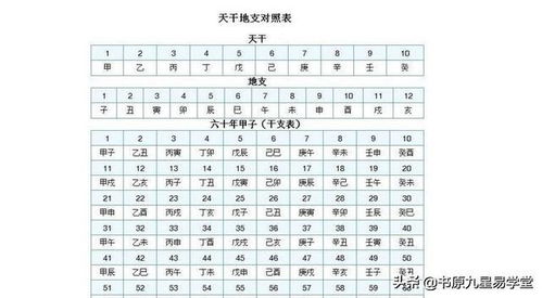 水墨先生的天干地支基础知识