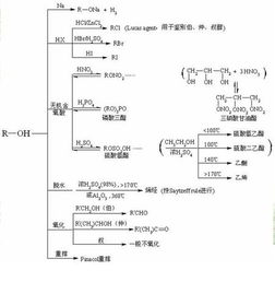 高中有机化学基础知识,有机化学实验基础知识,有机化学基础知识整理