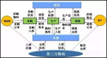 物流的基础知识有什么区别