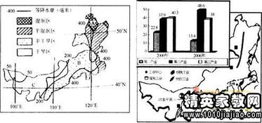 基础知识,煤矿,理论,组织