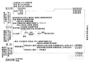 高中各科基础知识如何学好