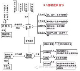 高二生物必修三基础知识过关检测