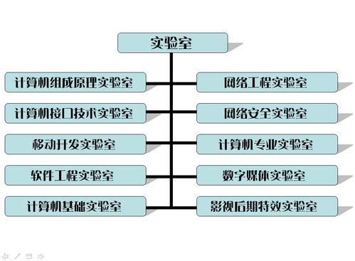 计算机专业软件基础知识