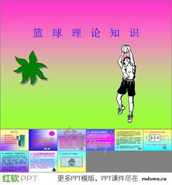 篮球基础知识ppt