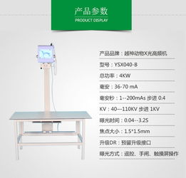 x光机识别基础知识