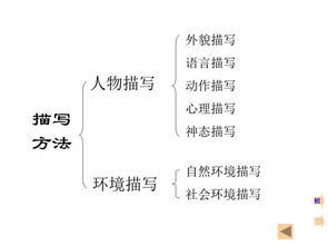 初中语文阅读与写作基础知识