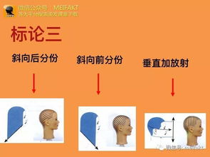 烫发原理基础知识,剪发理论基础知识,汽车原理基础知识