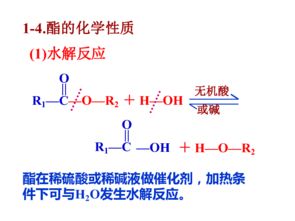 上海高二有机化学基础知识