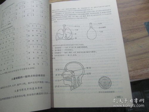 音乐基础知识自学