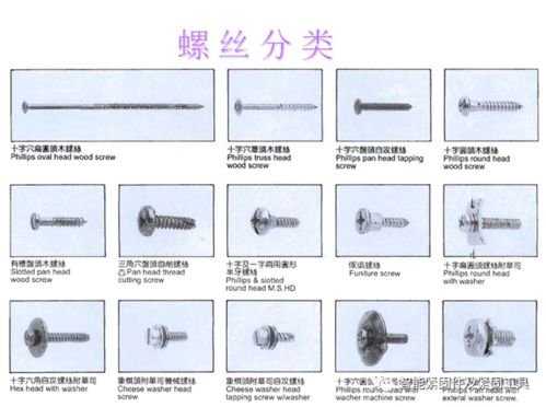 汽车标准件基础知识,英语语法基础知识大全,初中英语语法基础知识大全