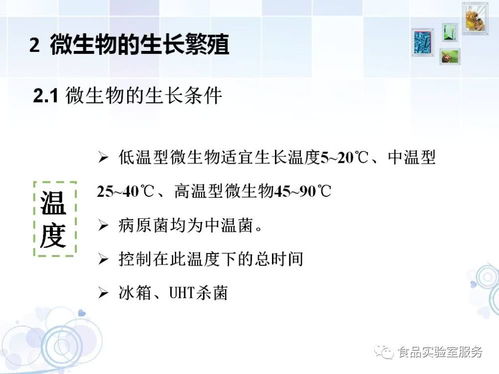 微生物,基础知识,检测,食品