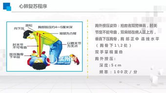 常规急救基础知识,急救基础知识考试试题,中学生急救基础知识