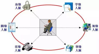 人脉关系比基础知识重要