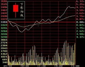 四柱基础知识微盘