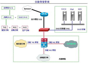 病毒基础知识