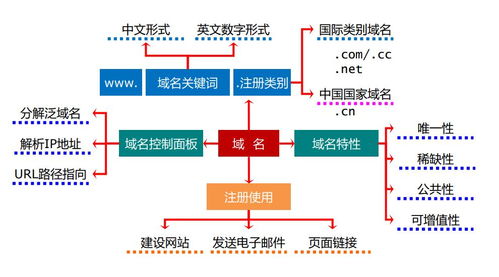 初中网络基础知识