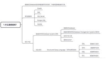 知识点,数据库,基础