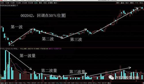 股票量化分析基础知识