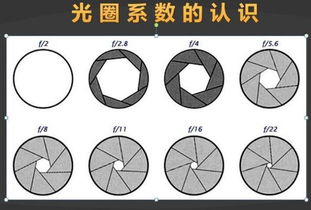 光圈的基础知识