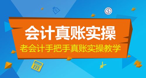 计算机基础知识培训心得体会,计算机基础知识培训方案,计算机基础知识培训心得