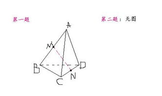 立体几何入门基础知识