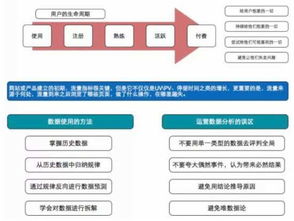 网站运营需要哪些基础知识